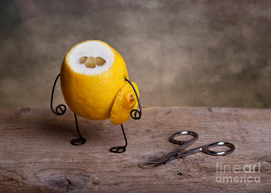 Fruit Photograph - Simple Things 11 by Nailia Schwarz