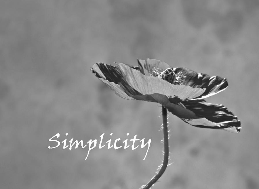 Simplicity Poppy Photograph by Barbara St Jean