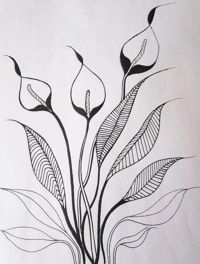 Simplicity Drawing by Rosita Larsson