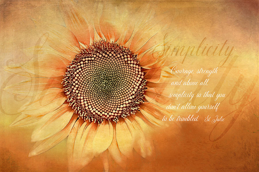Sunflower Digital Art - Simplicity by Terry Davis