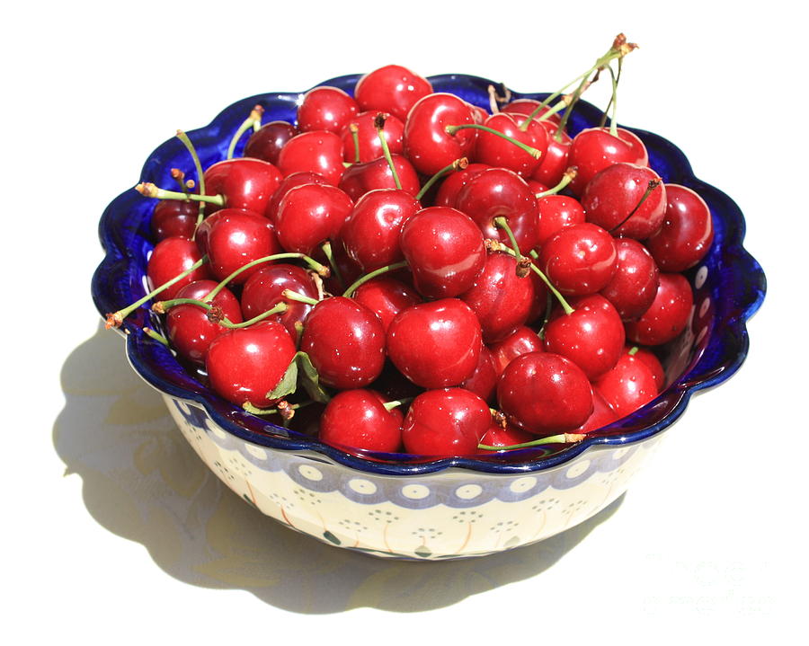 Simply a Bowl of Cherries Photograph by Carol Groenen