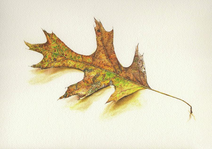 Fall Painting - Simply A Leaf by Sandra Burm
