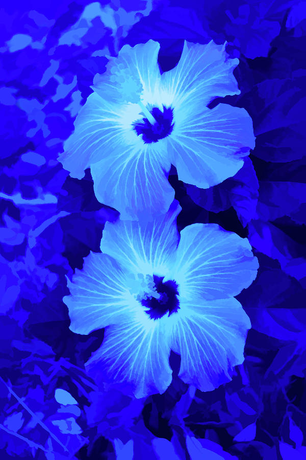 Simply Blue Hibiscus Flowers Vertical Photograph by Aimee L Maher ALM GALLERY