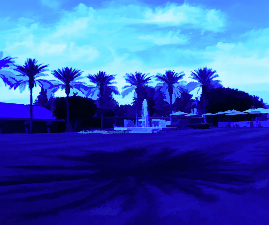 Simply Blue Palm Trees and Shadows Photograph by Aimee L Maher ALM GALLERY