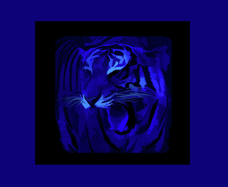 Simply Blue Portrait of a Tiger Photograph by Aimee L Maher ALM GALLERY