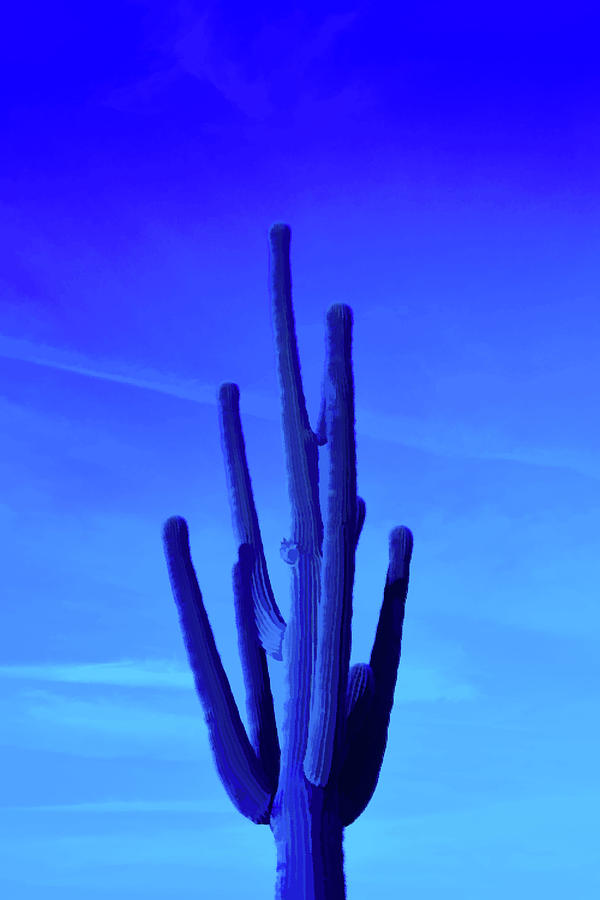 Simply Blue Saguaro Cactus Photograph