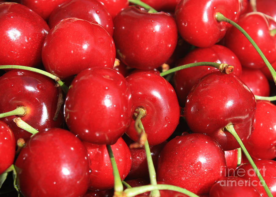Fruit Photograph - Simply Cherries  by Carol Groenen