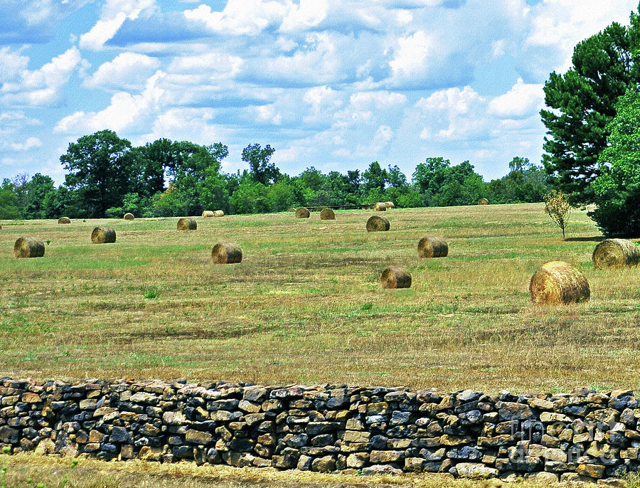 Simply Hay  Photograph by Lydia Holly
