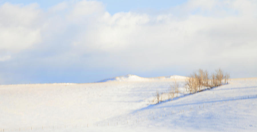 Simply Snow Landscape Photograph by Theresa Tahara
