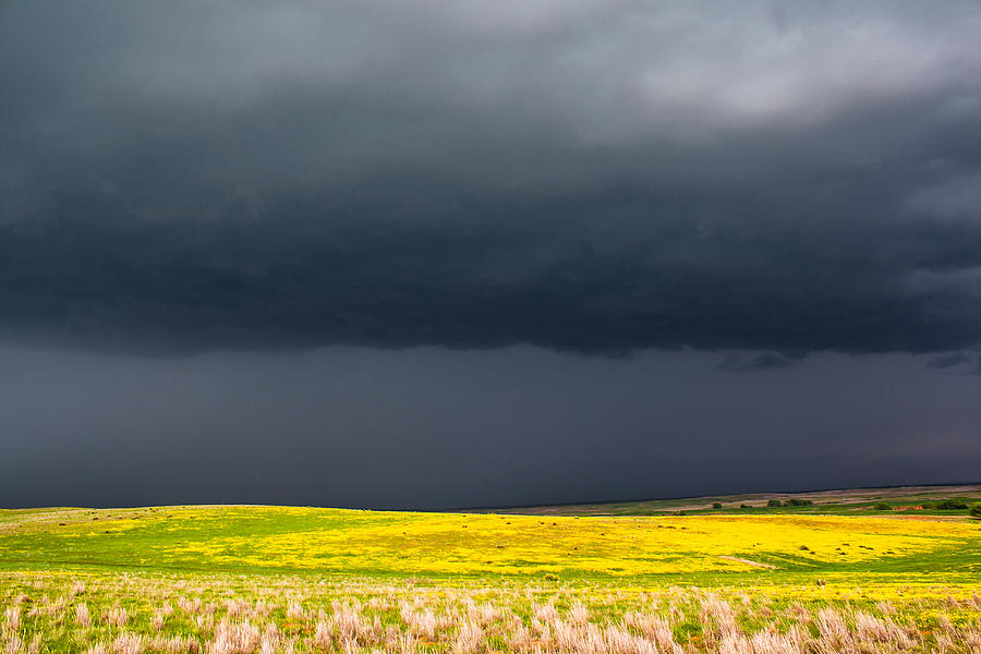 Simply Spring - Stormy Day And Wildflowers On The Oklahoma Plains ...