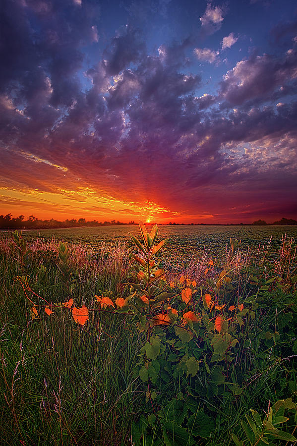 Since The Dawn Of Time Photograph by Phil Koch