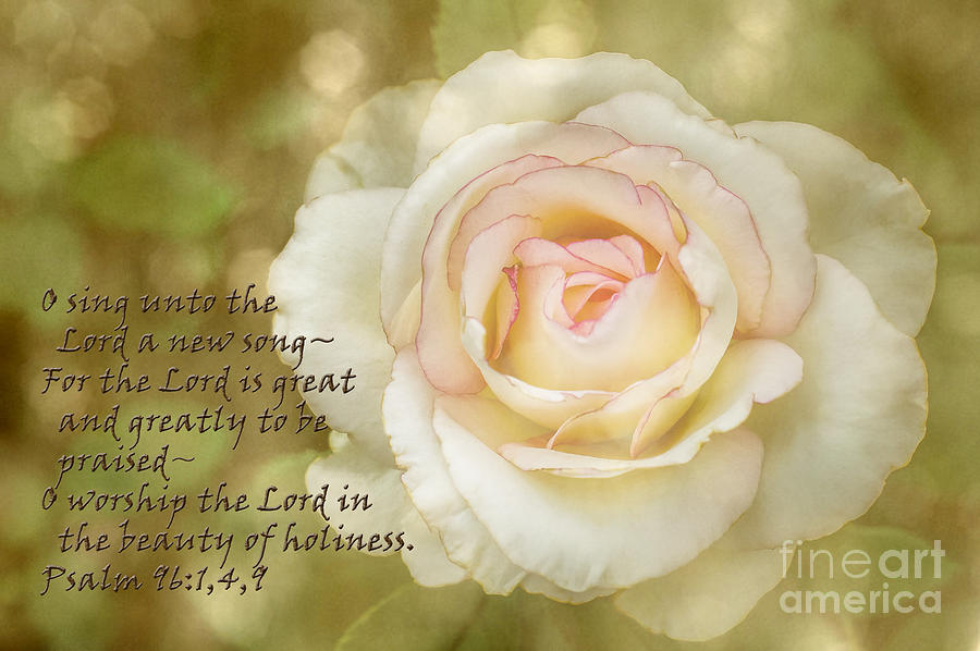 Rose Photograph - Sing Praise by ArtissiMo Photography