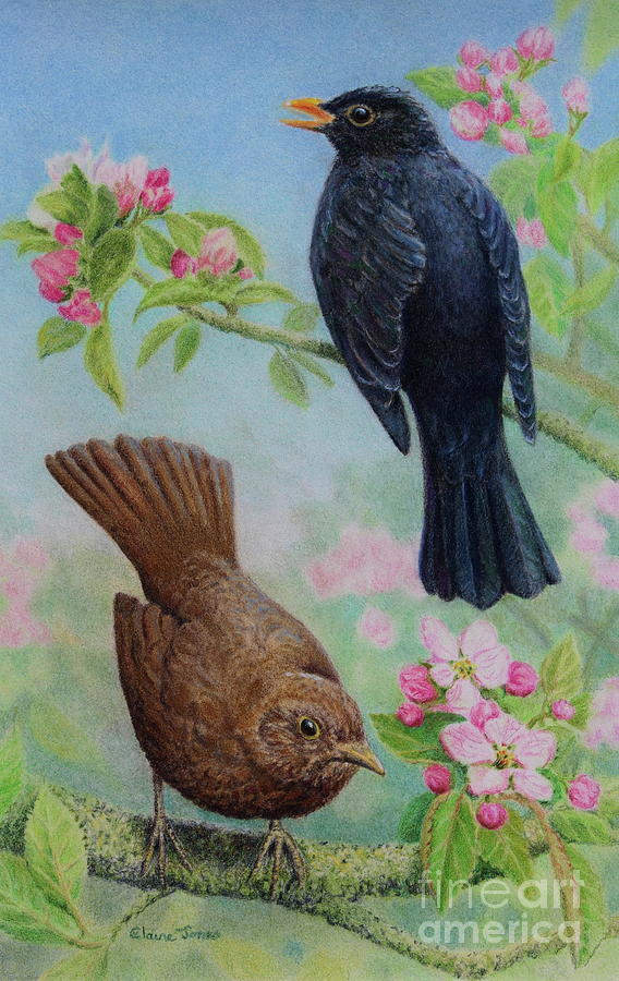 Sing to Me Mister Blackbird Painting by Elaine Jones