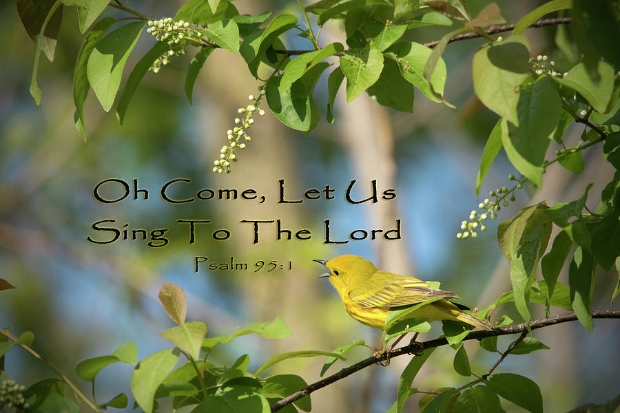 Warbler Photograph - Sing to The Lord by Jayne Gohr