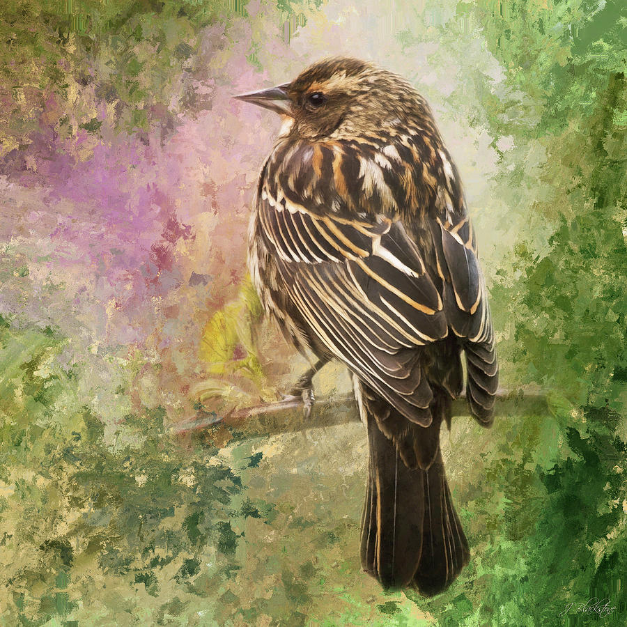 Sing Your Song - Bird Art Painting by Jordan Blackstone