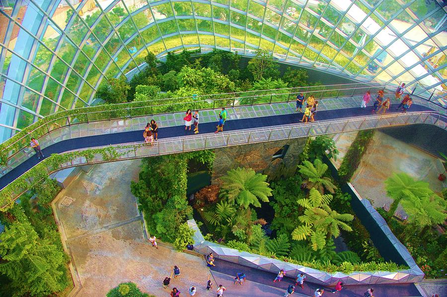 Singapore Cloud Forrest 4 Photograph by Phyllis Spoor