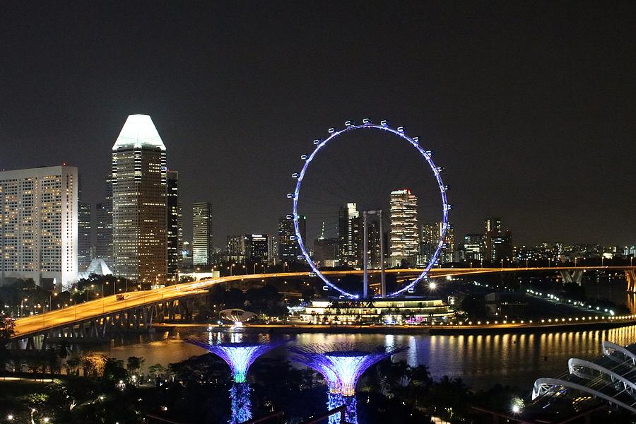 Singapore Eye Photograph by Diane Height