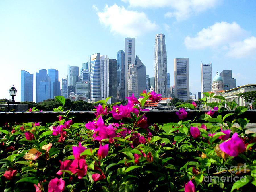Singapore Skyline Photograph by Randall Weidner