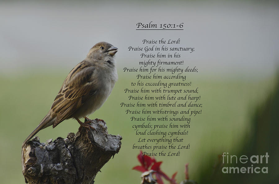 Singing  a Psalm Photograph by Debby Pueschel