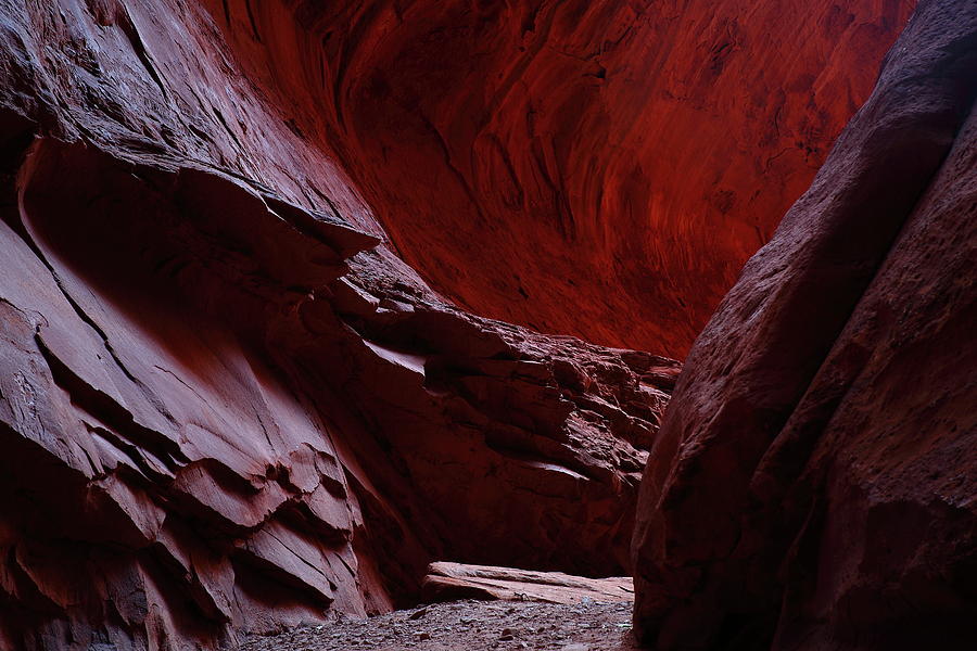 Singing Canyon at Grand Staircase Escalante National Monument in Utah Photograph by Jetson Nguyen