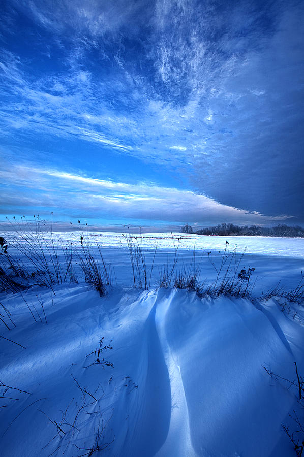 Winter Photograph - Singing the Blues by Phil Koch