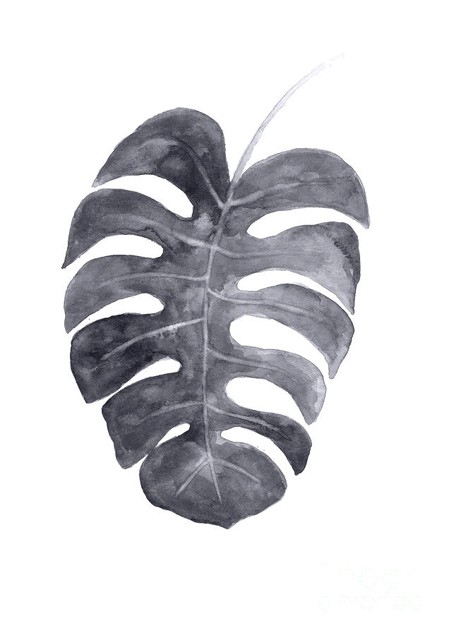 Monstera Leaf Painting - Single charcoal monstera leaf by Joanna Szmerdt