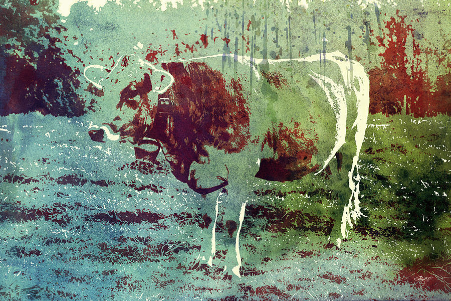 Single Cow Photograph by Jutta Maria Pusl