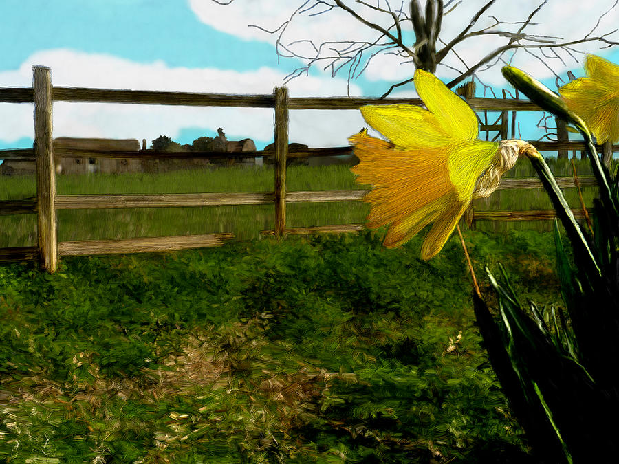 Single Daffodil on the Farm Painting by Bruce Nutting