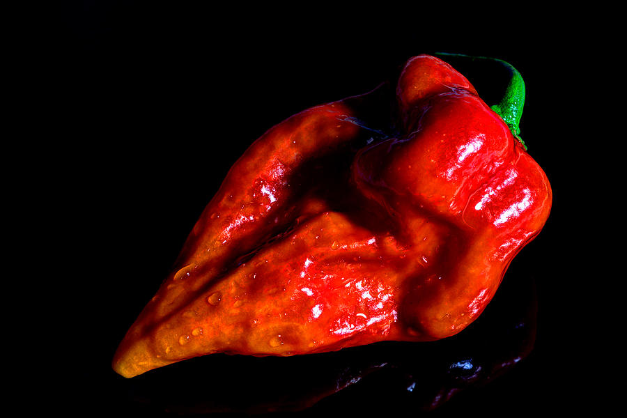 Single Hot Pepper Photograph by Joseph Skalny Single Hot Pepper Photograph by Joseph Skalny