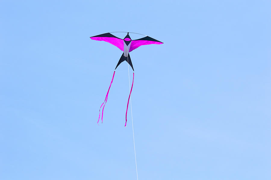 Toy Photograph - Single Kite by Linda Kerkau