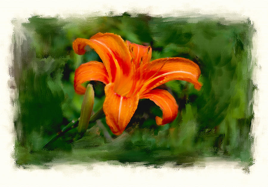 Single Lily Painting by Tom Kostro - Fine Art America