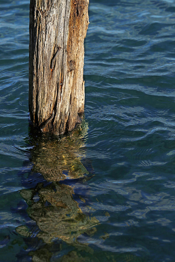 Single Old Piling 4 Photograph by Mary Bedy