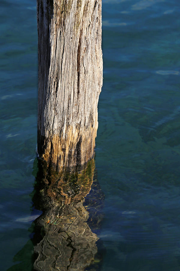 Single Old Piling 5 Photograph by Mary Bedy