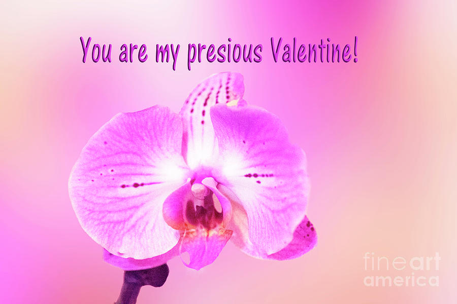 Single Orchid Valentine Photograph by Linda Phelps