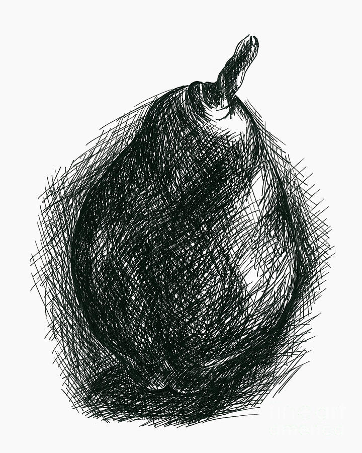 Single Pear Drawing by MM Anderson