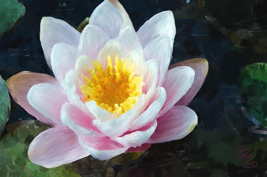 Single pink waterlily Digital Art by Debra Baldwin