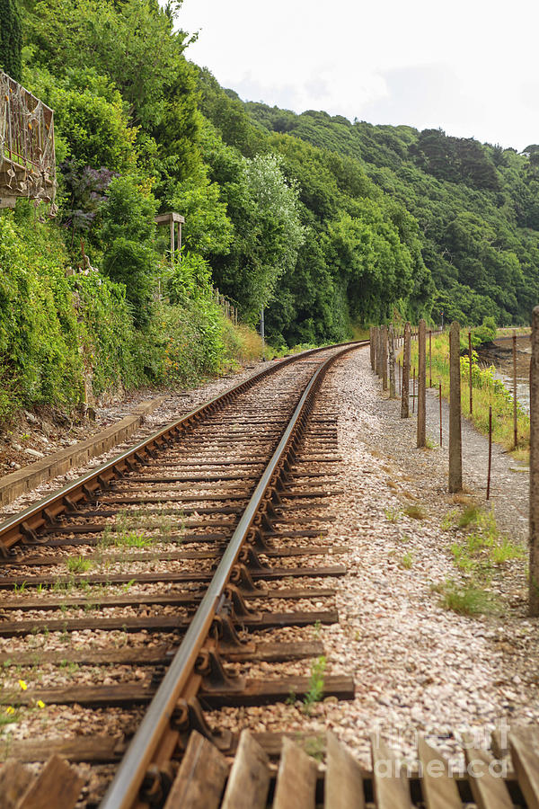 Single railway track Photograph by Patricia Hofmeester