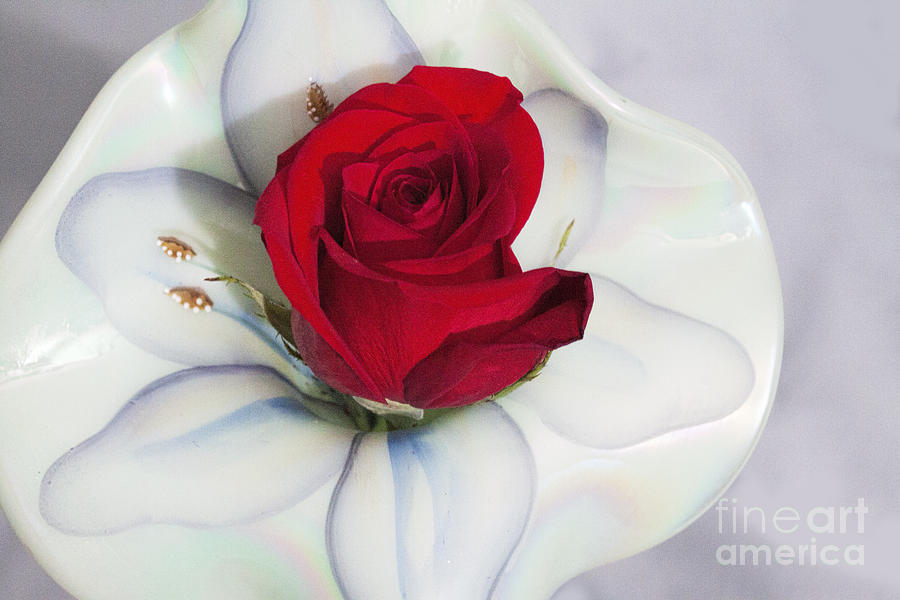 Single Red Rose in Fenton Vase Photograph by Linda Phelps