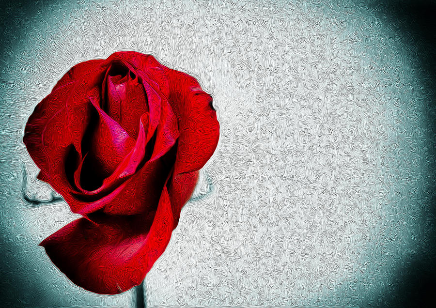 Single Red Rose Oil Painting Photograph Fusion Photograph by John Williams