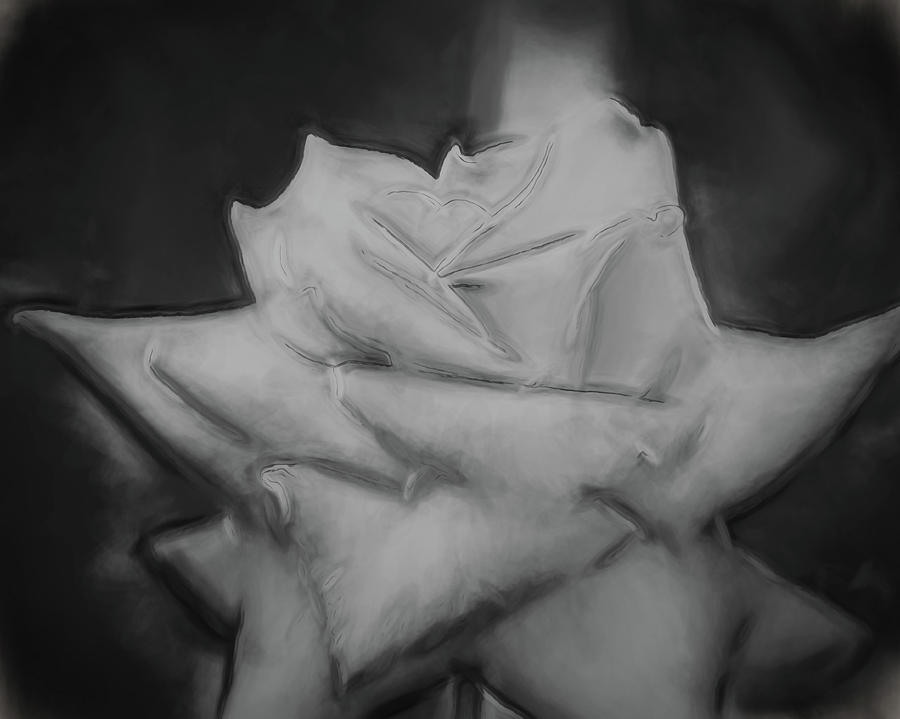 Single Rose by Cathy Jourdan Single Rose by Cathy Jourdan