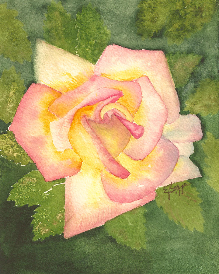 Single Rose Painting by Elise Boam