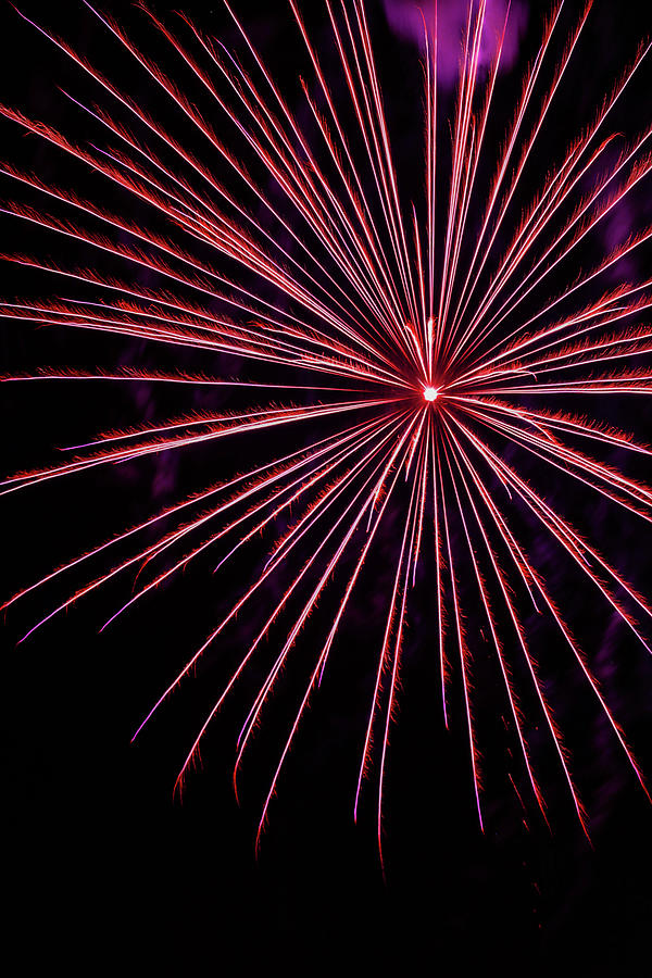 Single Spray by Jeff Kurtz Single Spray by Jeff Kurtz