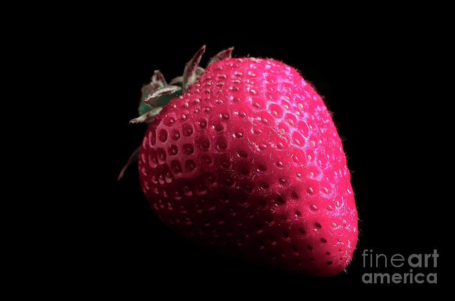 Single Strawberry Spotlighted Photograph by Laura Mountainspring