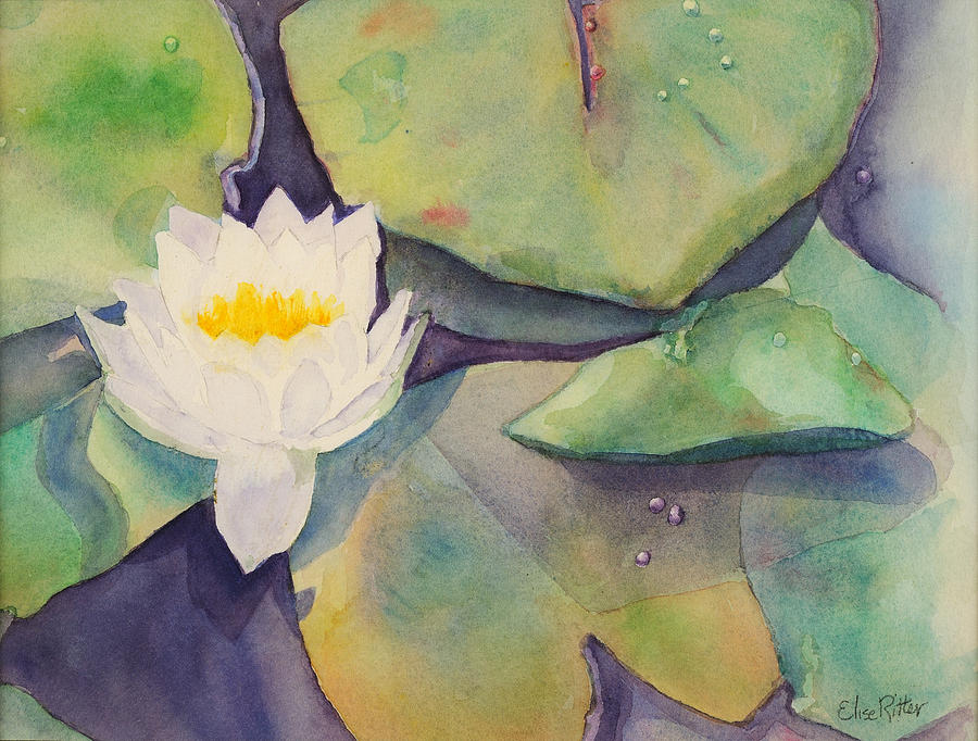 Single White Lily Painting by Elise Ritter