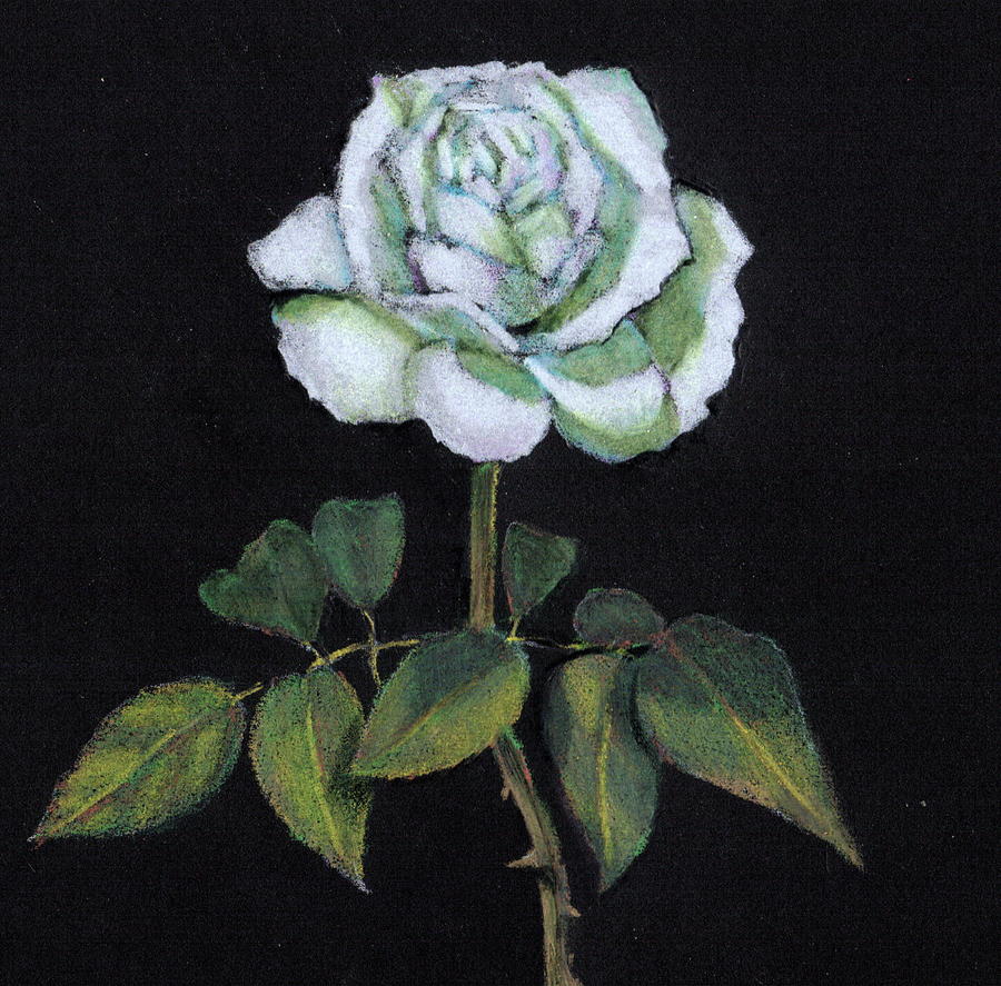 Single White Rose Drawing by Joyce Geleynse
