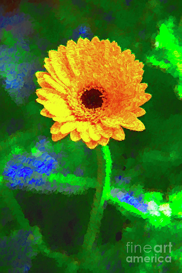 Single Yellow Flower Photograph by Rick Bragan