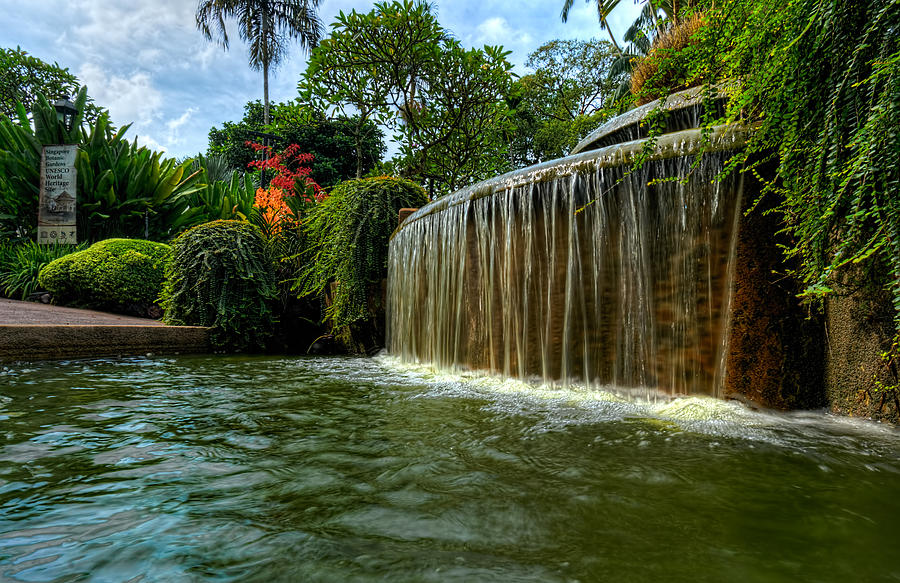 Singpore Botanic Gardens Photograph by Nisah Cheatham