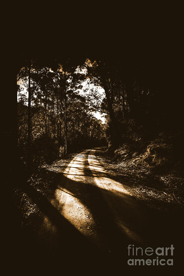 Nature Photograph - Sinister roadway by Jorgo Photography