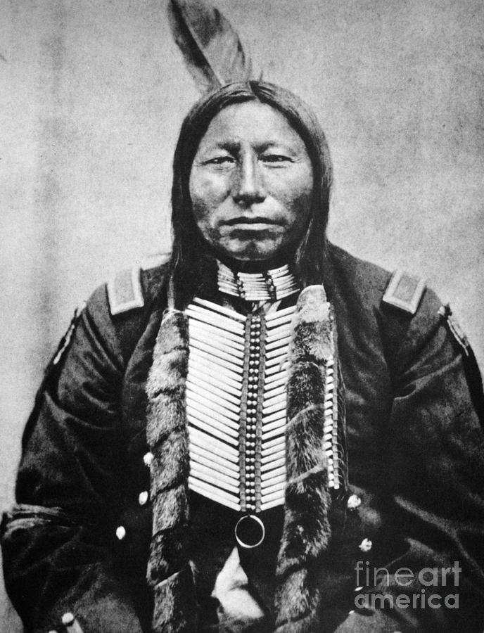 Sioux: Crow King Photograph by Granger