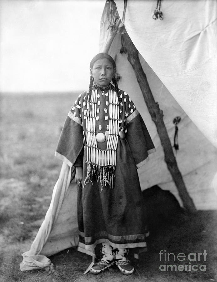 Dog Photograph - SIOUX GIRL, c1905 by Granger